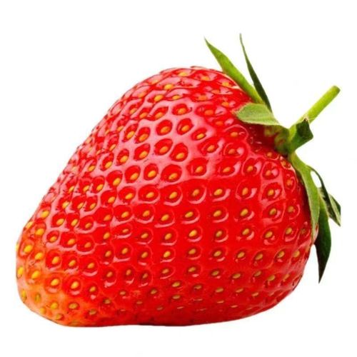 Strawberry Seeds Four Seasons Strawberry Item | Buy Strawberry Seeds Four Seasons Strawberry | SPOP Enterprise Global